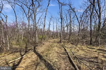 950 Stony Hill Road, Winchester, VA 22603 - Photo 18