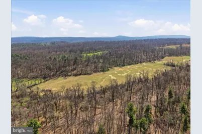 950 Stony Hill Road, Winchester, VA 22603 - Photo 28