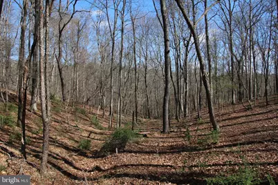 Brush Creek Road, Winchester, VA 22603 - Photo 28