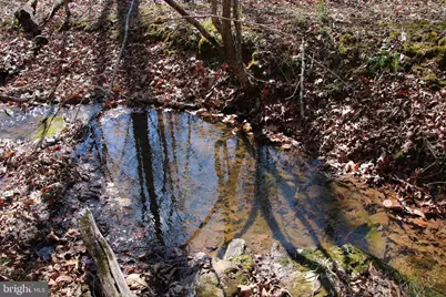 Brush Creek Road, Winchester, VA 22603 - Photo 24