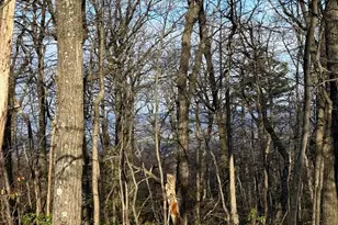 Lot 162 Bobcat Trail, Winchester, VA 22602 - Photo 1