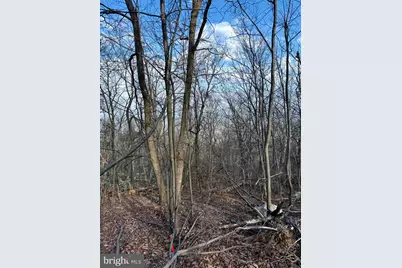 Lot 162 Bobcat Trl, Winchester, VA 22602 - Photo 4