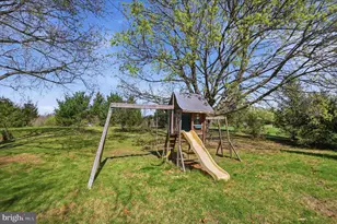 1239 Cedar Grove Rd, Winchester, VA 22603 - Photo 72