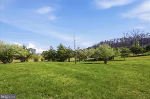 1239 Cedar Grove Rd, Winchester, VA 22603 - Photo 66