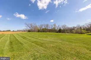 1156 Salem Church Rd, Stephens City, VA 22655 - Photo 34