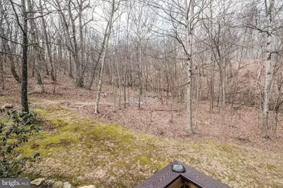 642 Paddys Run Road, Star Tannery, VA 22654 - Photo 10