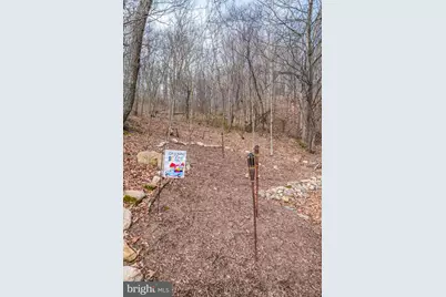 642 Paddys Run Road, Star Tannery, VA 22654 - Photo 12