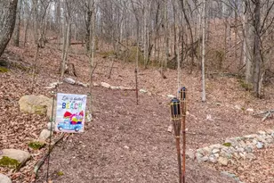 642 Paddys Run Rd, Star Tannery, VA 22654 - Photo 12