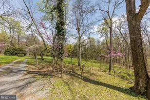 1460 Pitcock Ln, Winchester, VA 22602 - Photo 100