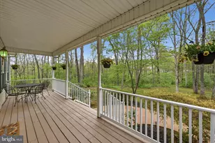 294 Green Spring Dr, Winchester, VA 22603 - Photo 8