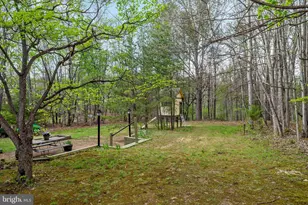 3691 Green Spring Rd, Winchester, VA 22603 - Photo 36