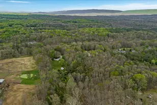 3691 Green Spring Rd, Winchester, VA 22603 - Photo 42