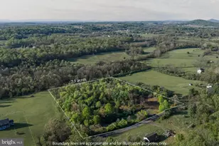 384 Frog Hollow, Winchester, VA 22603 - Photo 1