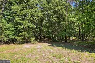 323 S Timber Ridge Rd, Cross Junction, VA 22625 - Photo 60