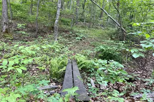281 Boots Hill Ln, Gore, VA 22637 - Photo 46