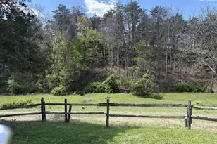 306 Tonys Hollow, Stephens City, VA 22655 - Photo 12