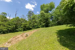 128 Babbs Run Ln, Winchester, VA 22603 - Photo 12
