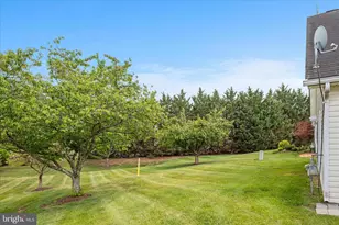 203 Cranberry Ct, Winchester, VA 22602 - Photo 24
