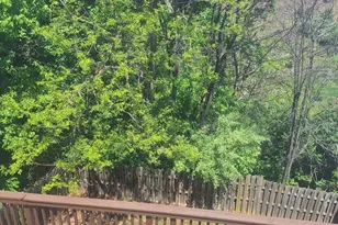 515 Emily Ln, Winchester, VA 22602 - Photo 14