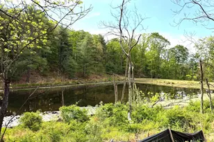 Lot 1 Crested Mountain Ln, Cross Junction, VA 22625 - Photo 1