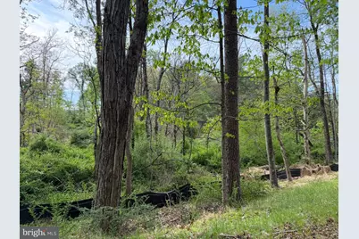 Lot 2 Crested Mountain Lane, Cross Junction, VA 22625 - Photo 16