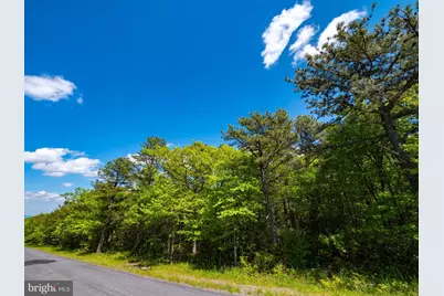 Lot 315A Timber Ridge Trail, Winchester, VA 22602 - Photo 4