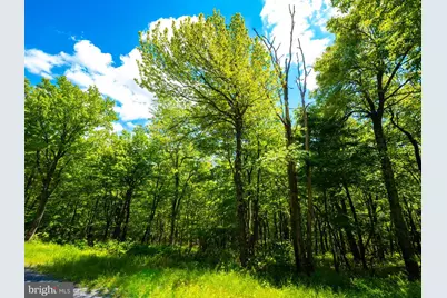 Lot 181 Rockwood Trail, Winchester, VA 22602 - Photo 4