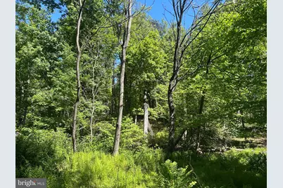 S South Timber Ridge Road, Cross Junction, VA 22625 - Photo 6