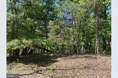 S South Timber Ridge Road, Cross Junction, VA 22625 - Photo 16