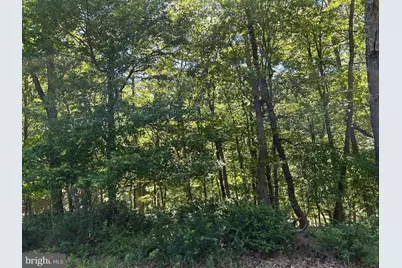 S South Timber Ridge Road, Cross Junction, VA 22625 - Photo 12