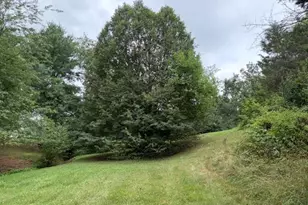 104 Kapok Cir, Winchester, VA 22602 - Photo 12