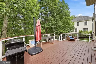 119 Thompson Ct, Winchester, VA 22602 - Photo 54