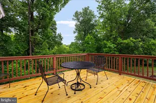 117 Ware Pl, Winchester, VA 22602 - Photo 18