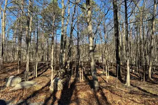 Lot 11 Pheasant Dr, Winchester, VA 22602 - Photo 1