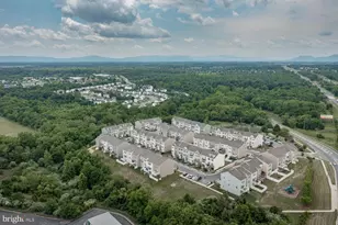 227 Schramm Loop, Stephens City, VA 22655 - Photo 6