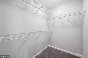 159 Lauck Dr, Winchester, VA 22603 - Photo 28