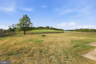 3105 Apple Pie Ridge Rd, Winchester, VA 22603 - Photo 24