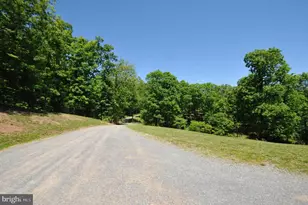 170 Bloomery Pike, Cross Junction, VA 22625 - Photo 8