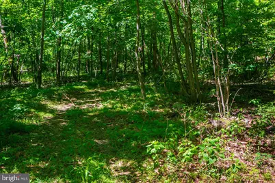 Lot 37 Poplar Trl, Winchester, VA 22602 - Photo 4