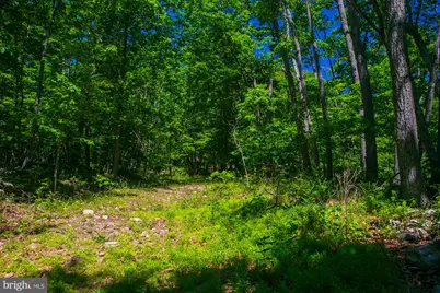Lot 37 Poplar Trl, Winchester, VA 22602 - Photo 1