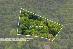 1100 Logger Dr, Gore, VA 22637 - Photo 10