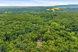 1100 Logger Dr, Gore, VA 22637 - Photo 60