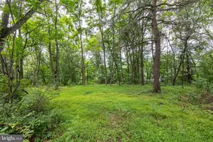 201 Woodridge Ln, Winchester, VA 22603 - Photo 48