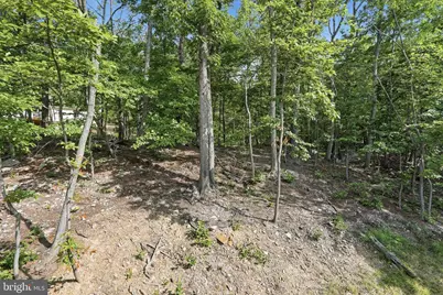 300 Elk Trail, Winchester, VA 22602 - Photo 38