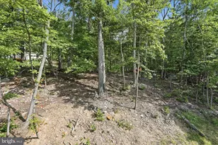300 Elk Trail, Winchester, VA 22602 - Photo 38