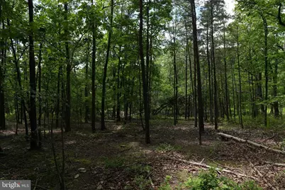 1917 S Timber Ridge, Cross Junction, VA 22625 - Photo 14