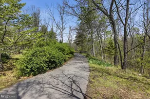 170 Mountain View Ct, Winchester, VA 22603 - Photo 54