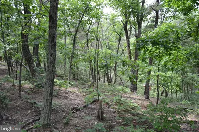 Two Lots On Siler Road, Winchester, VA 22603 - Photo 22