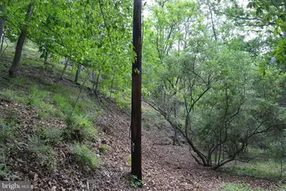 Two Lots On Siler Road, Winchester, VA 22603 - Photo 32