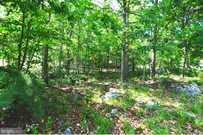 Lot 116 Arum Trail, Star Tannery, VA 22654 - Photo 14